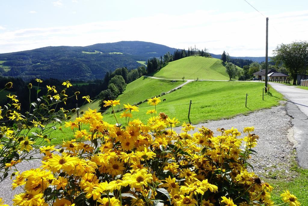 Ferienwohnungen Perhofer Birkfeld Екстер'єр фото